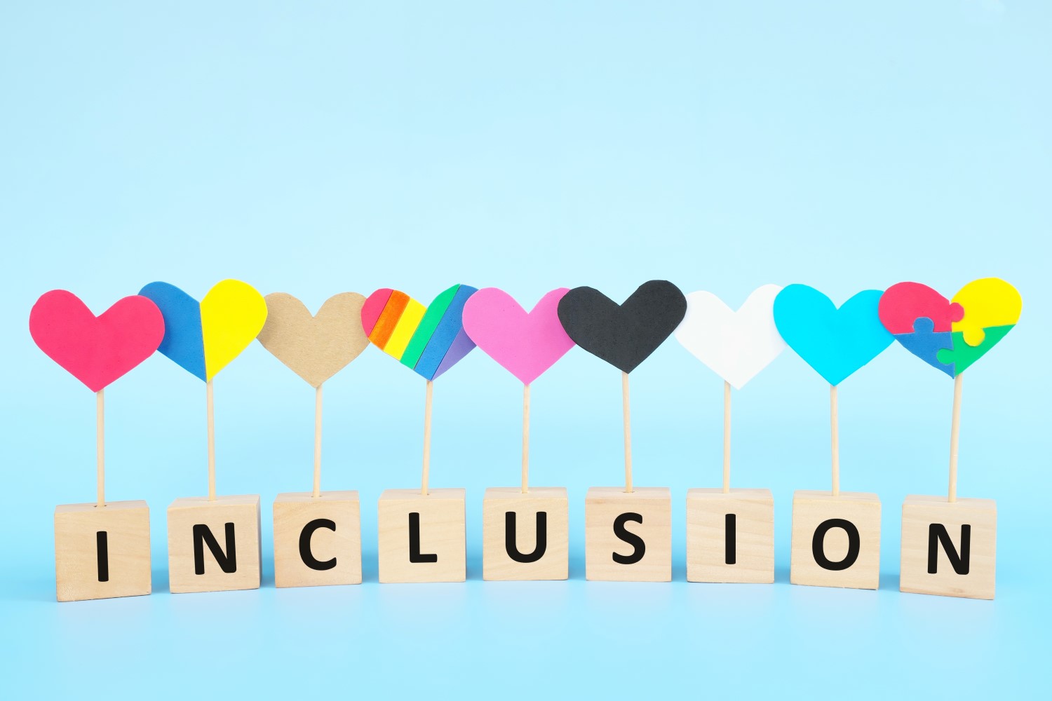 Inclusion